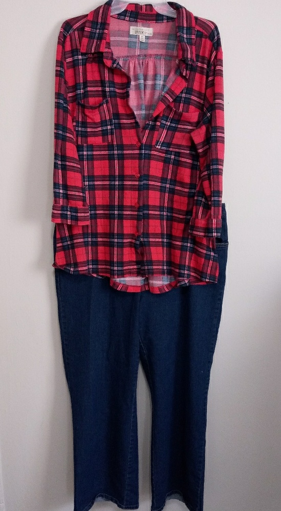 Dark Denim Jeans and Plaid Top (2X/16)